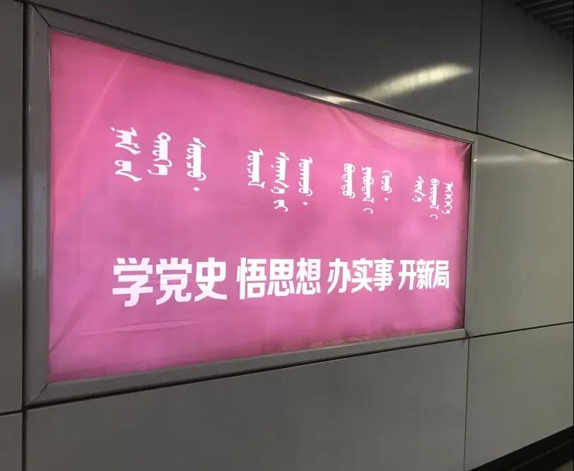新2会员手机管理端