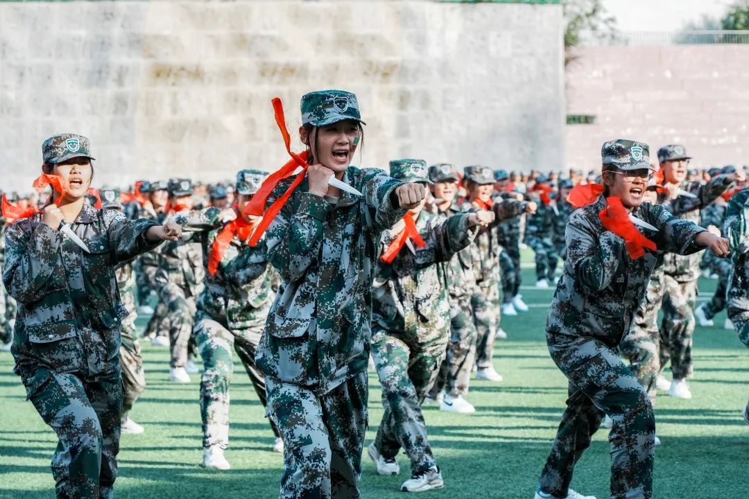 新2会员手机管理端