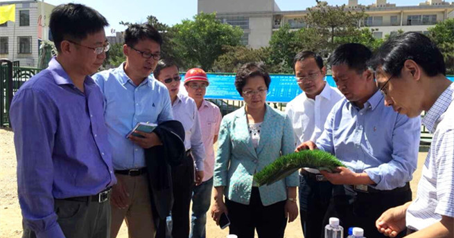 新2会员手机管理端