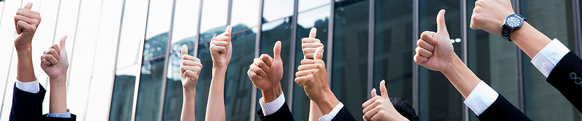 新2会员手机管理端