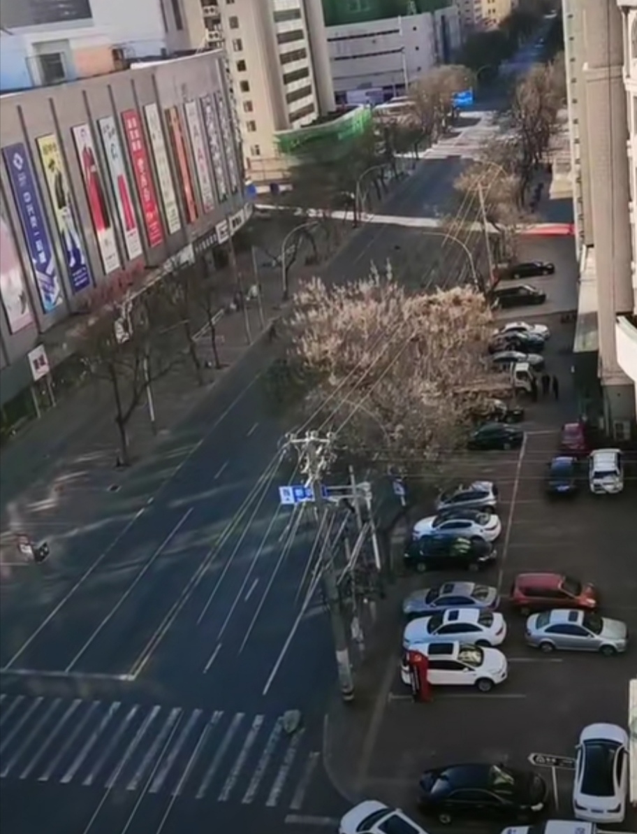 新2会员手机管理端