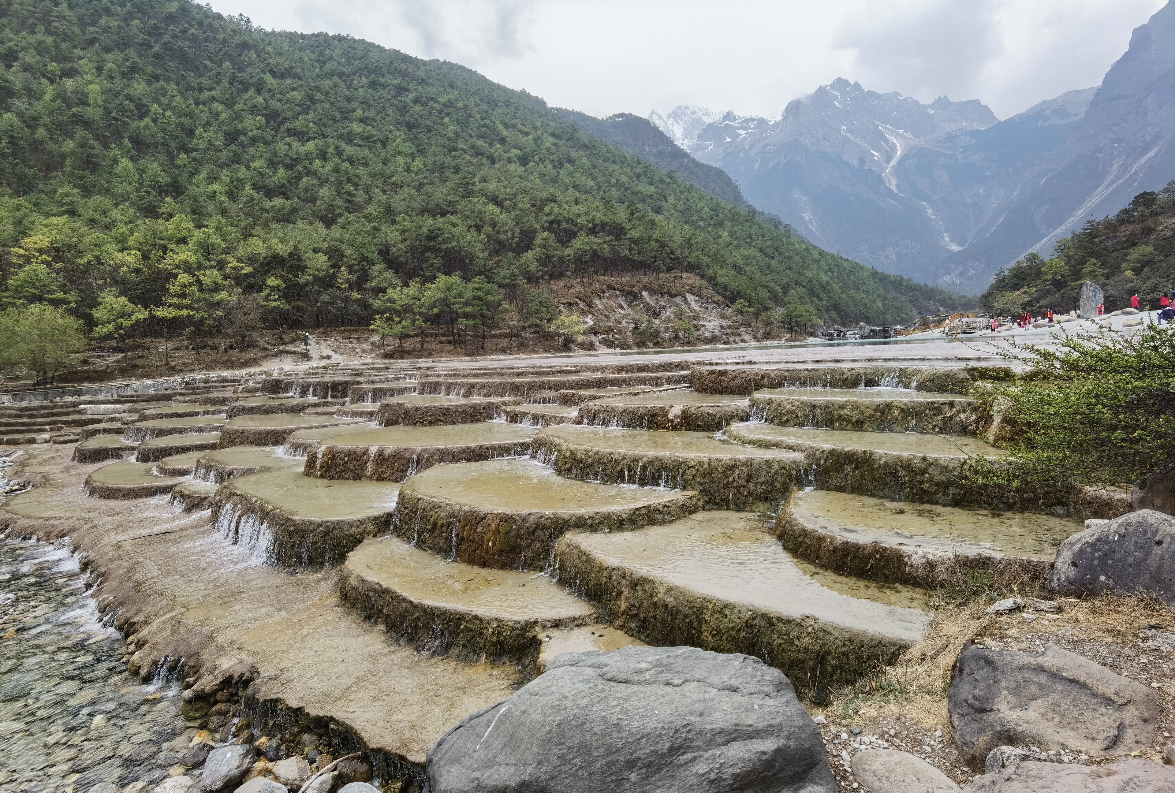 新2会员手机管理端