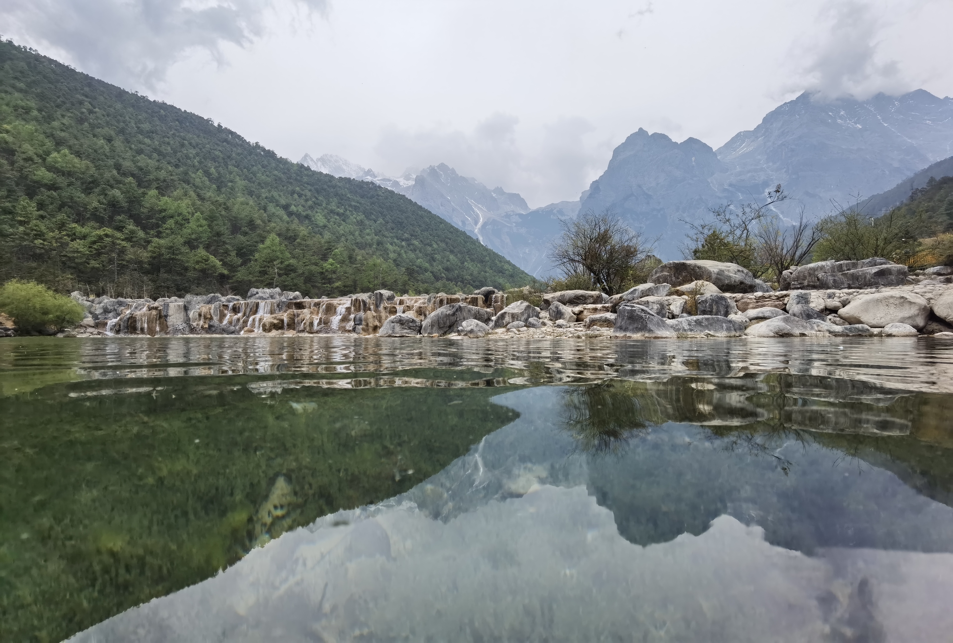 新2会员手机管理端