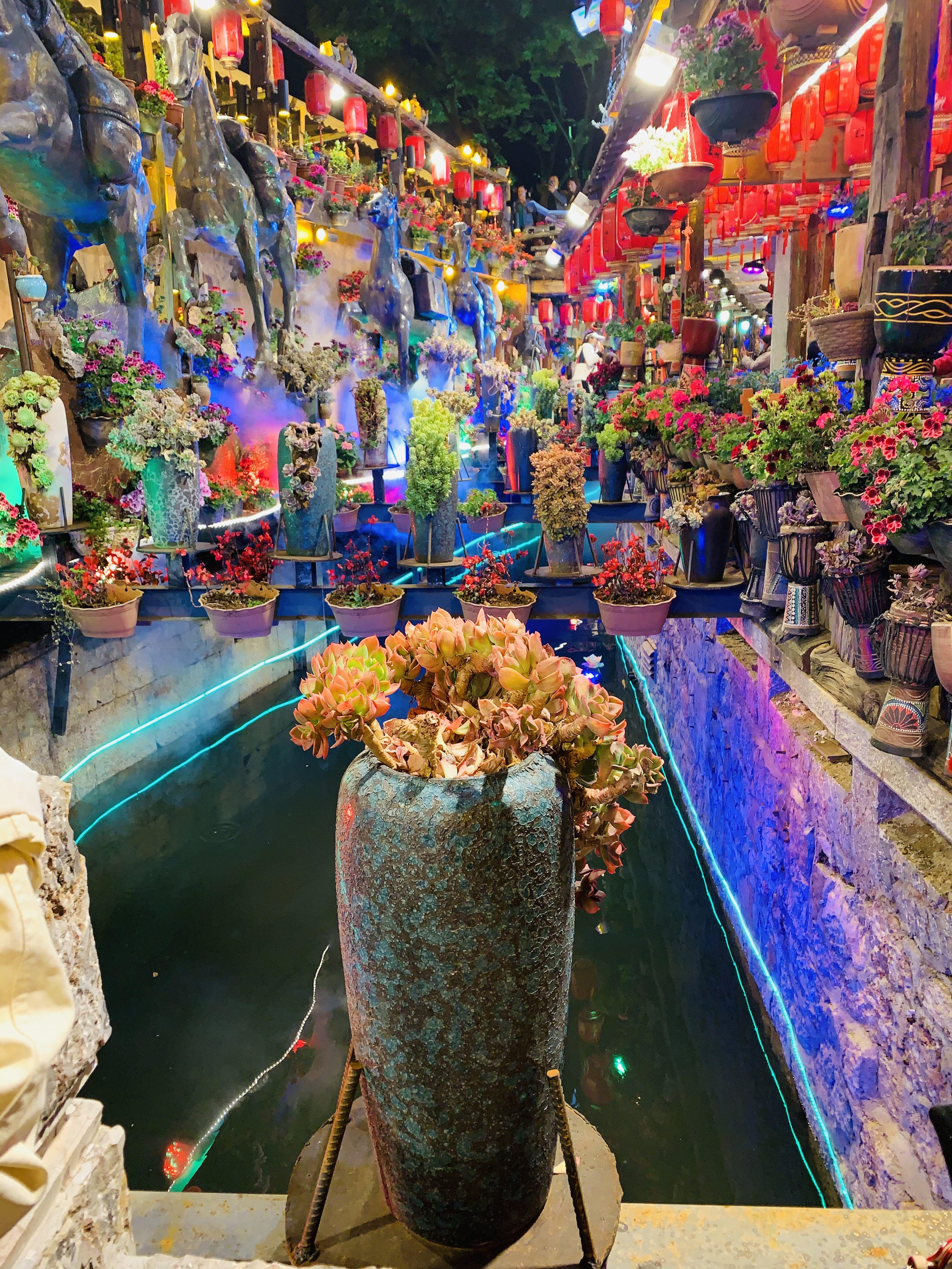 新2会员手机管理端