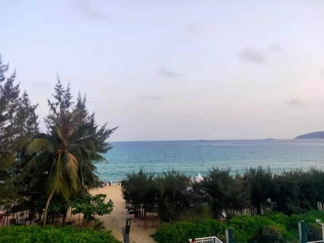 新2会员手机管理端