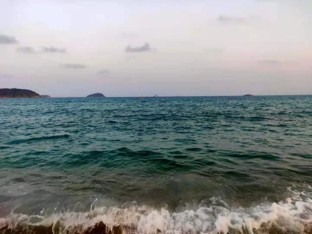 新2会员手机管理端