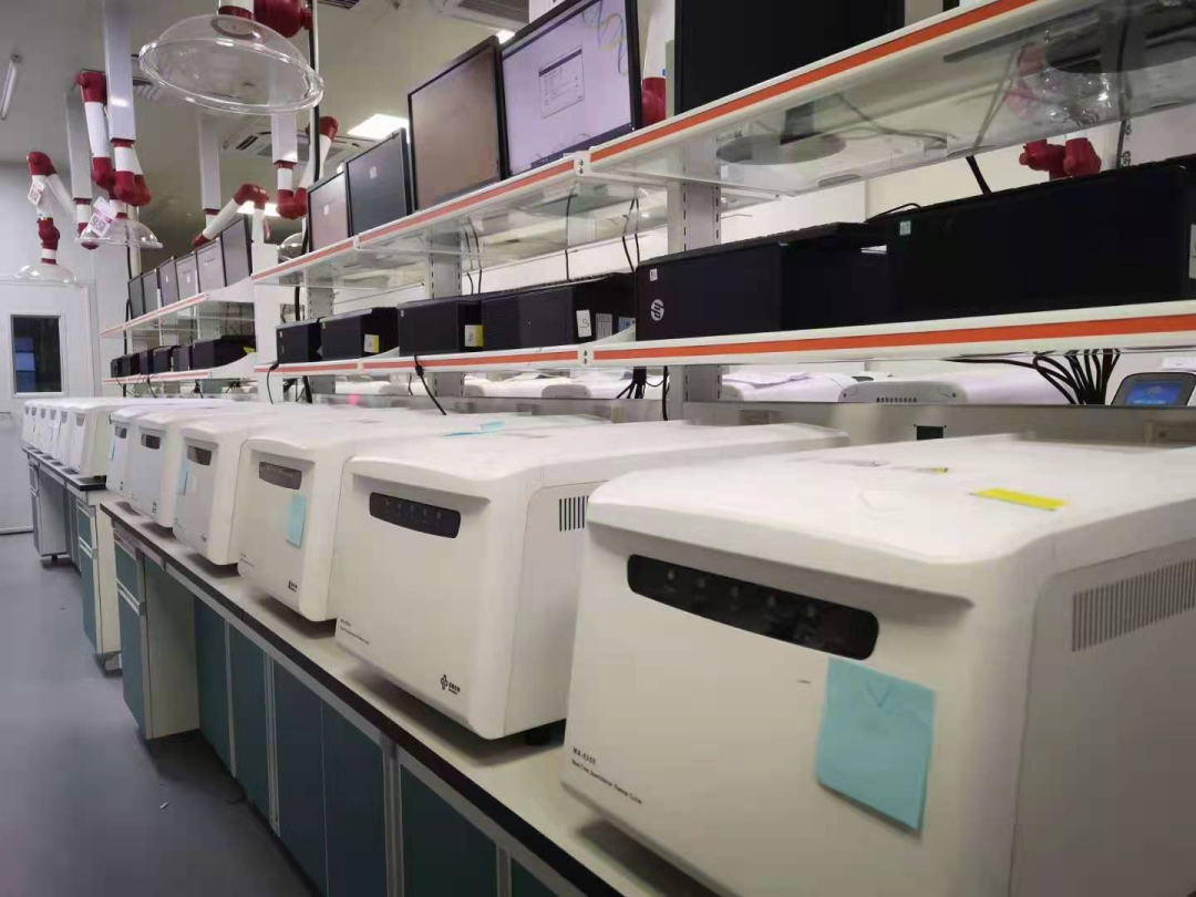 新2会员手机管理端