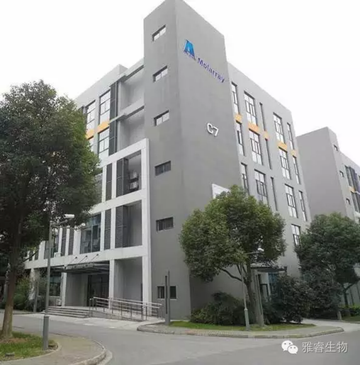 新2会员手机管理端