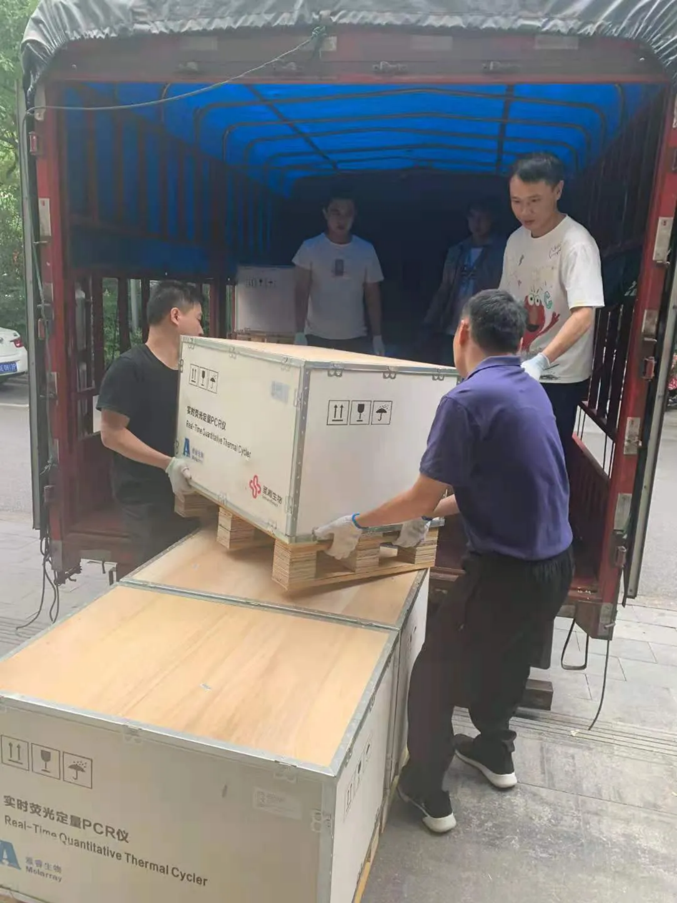 新2会员手机管理端