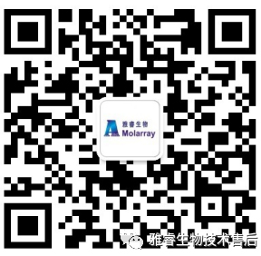 新2会员手机管理端