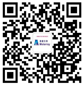 新2会员手机管理端