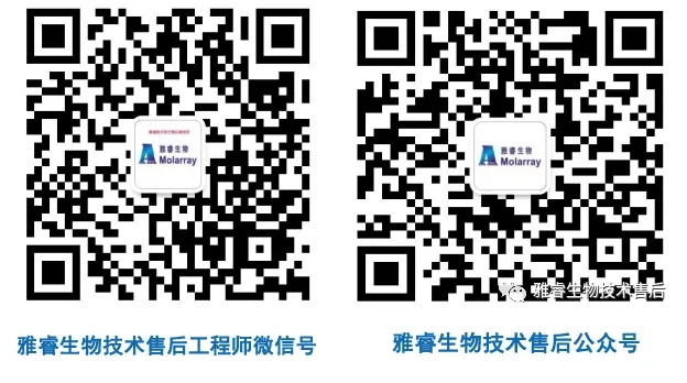 新2会员手机管理端