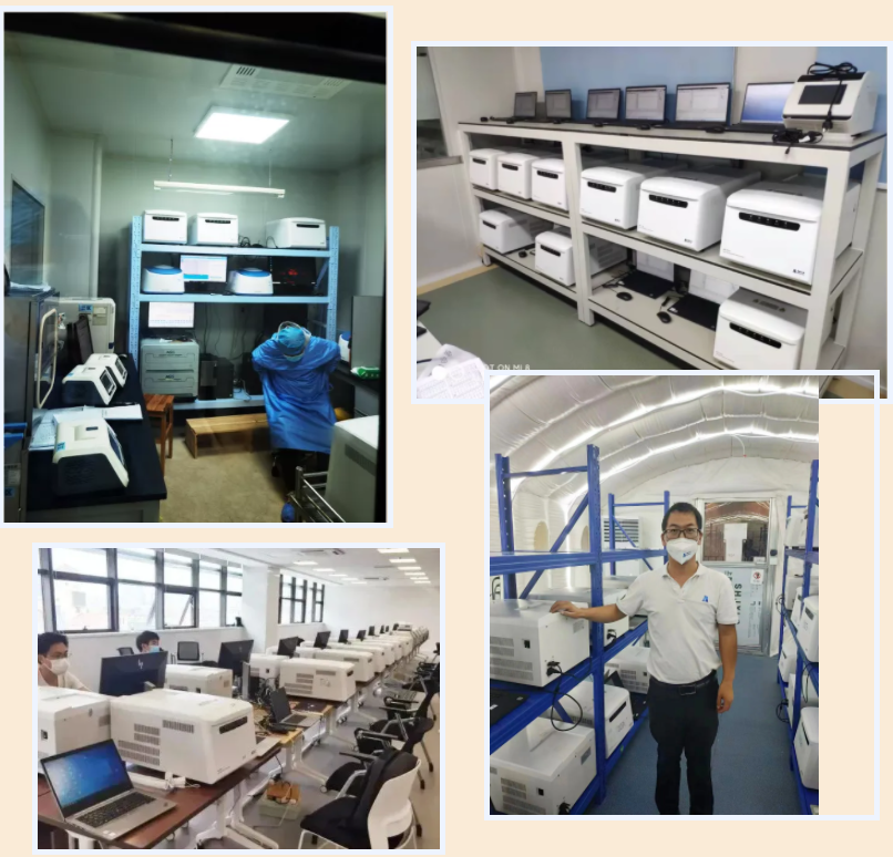 新2会员手机管理端