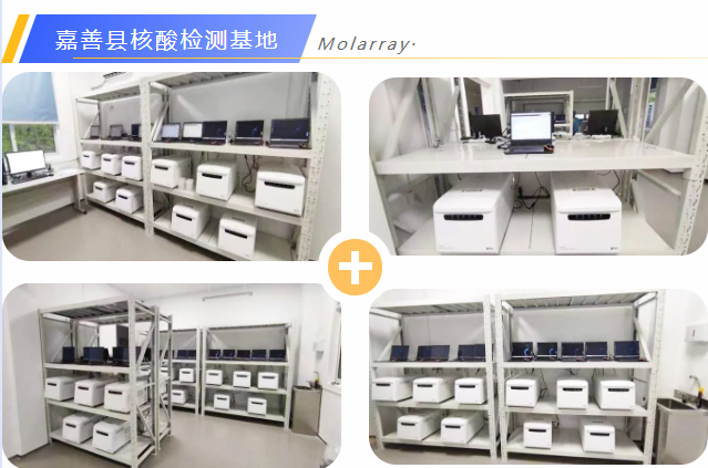 新2会员手机管理端