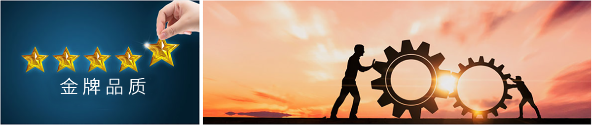 新2会员手机管理端