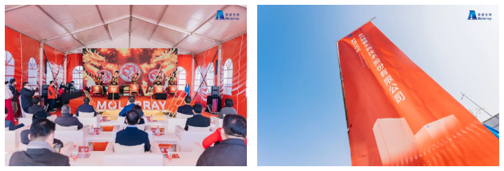 新2会员手机管理端