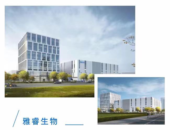 新2会员手机管理端