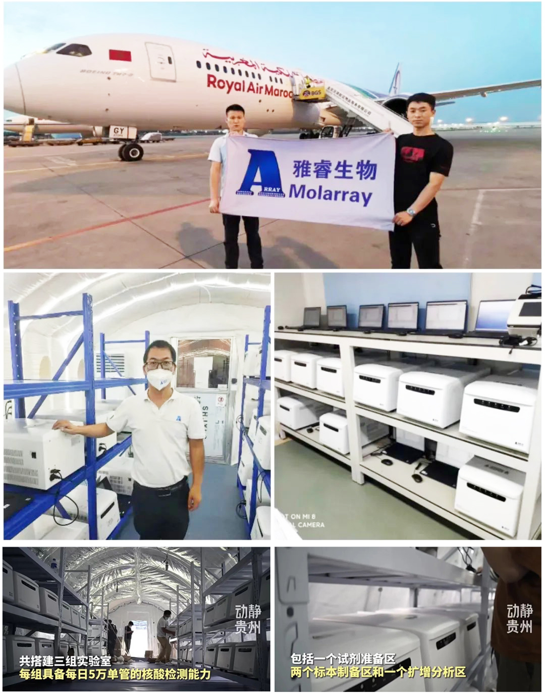 新2会员手机管理端