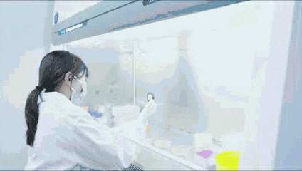 新2会员手机管理端