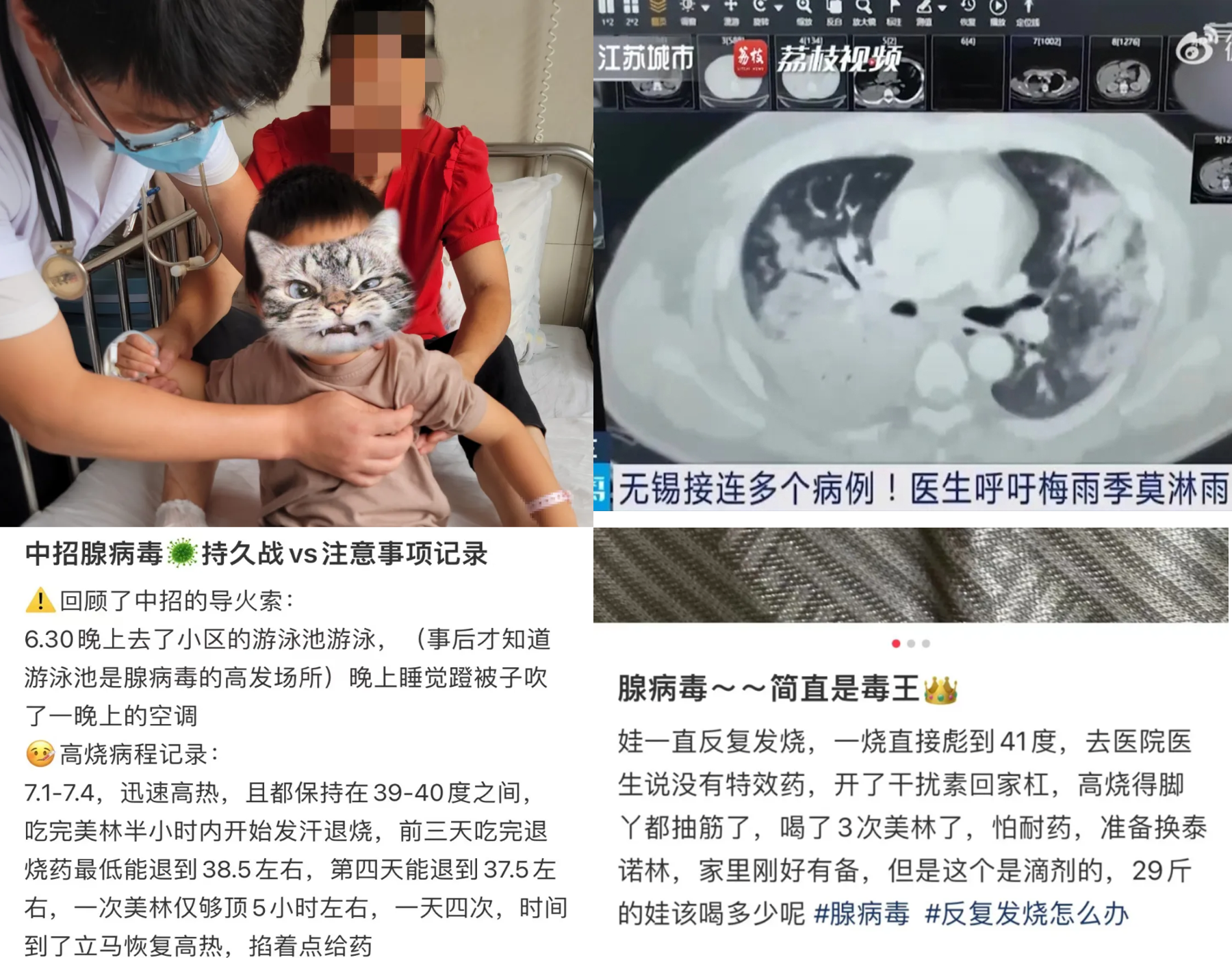 新2会员手机管理端