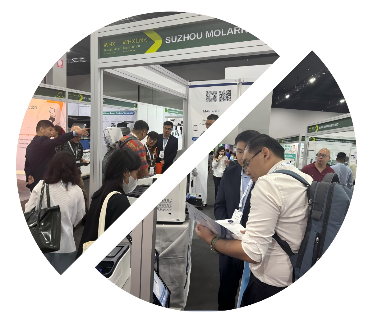 新2会员手机管理端